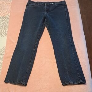 Bandolino Straight Leg Denim Jeans in Dark Indigo